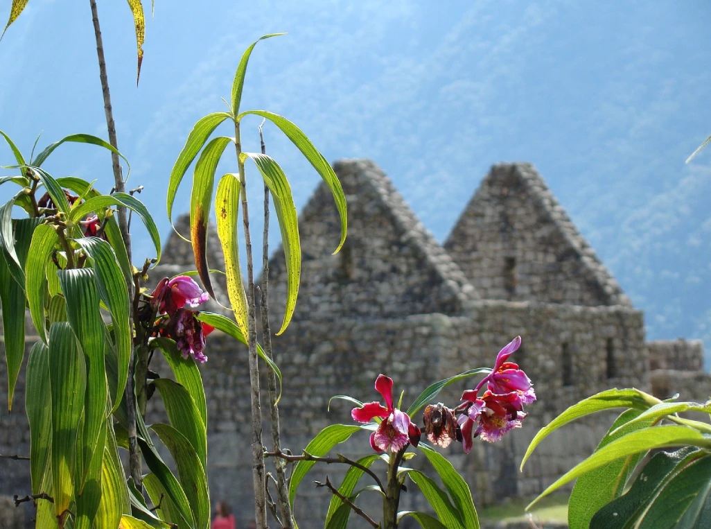 machu picchu amazing